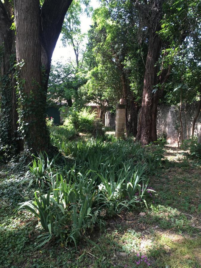 Le Mas Rocamour Roquemaure (Gard) Exterior foto
